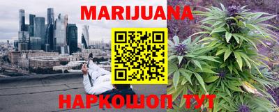 гидра Тулун